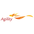 شعار Agility