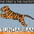 شعار Sundarban Courier